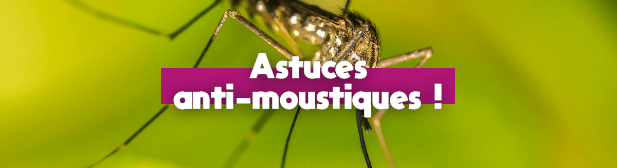 astuces anti moustiques